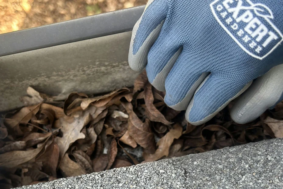 Englewood Cliffs Gutter Cleaning